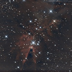 NGC 2264 Nébuleuse du cône