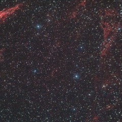 Les dentelles du Cygne