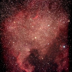 NGC 7000 Nébuleuse North America