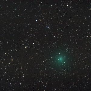 252P Linear