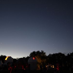 (054) IMG_3290