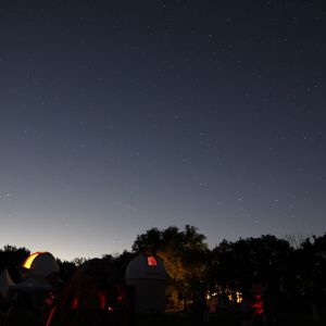 (058) IMG_3294