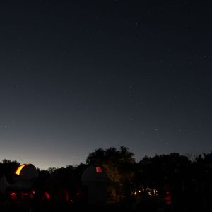 (059) IMG_3295