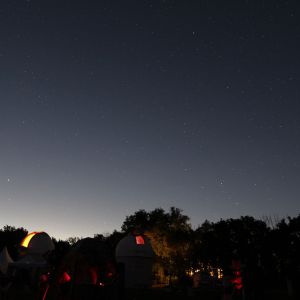 (060) IMG_3296