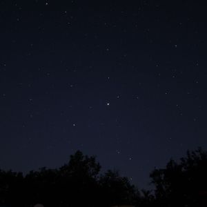 (067) IMG_3303