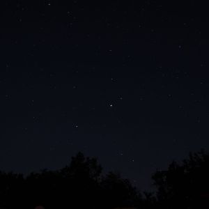 (069) IMG_3306