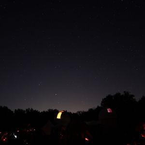 (078) IMG_3318