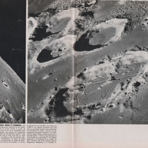 p40-41