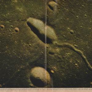 p82-83