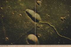 p82-83